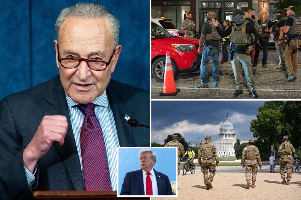 Chuck Schumer uses strong language when asked if Democrats would support Trump on the DC police takeover