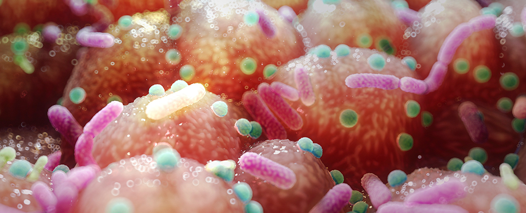 Connection Between Parkinson's and Gut Bacteria Suggests a Surprising, Easy Treatment