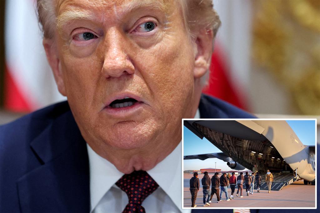 Court prevents Trump from quickly deporting undocumented immigrants from within the country