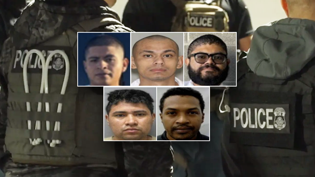 Criminal immigrants taken into custody by DHS amid growing criticism.