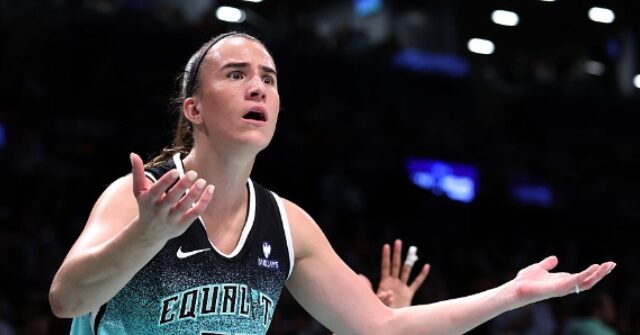 Criticism of 'Misogynistic' WNBA Dildo Throwers for 'Degrading Women'