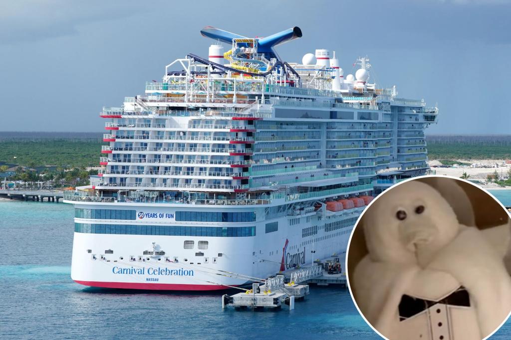 Cruise passenger discovers concealed towel creatures