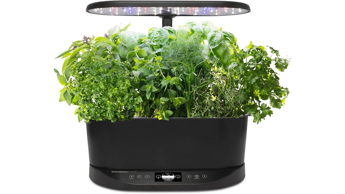 Cultivate a kitchen garden using a self-watering hydroponics setup