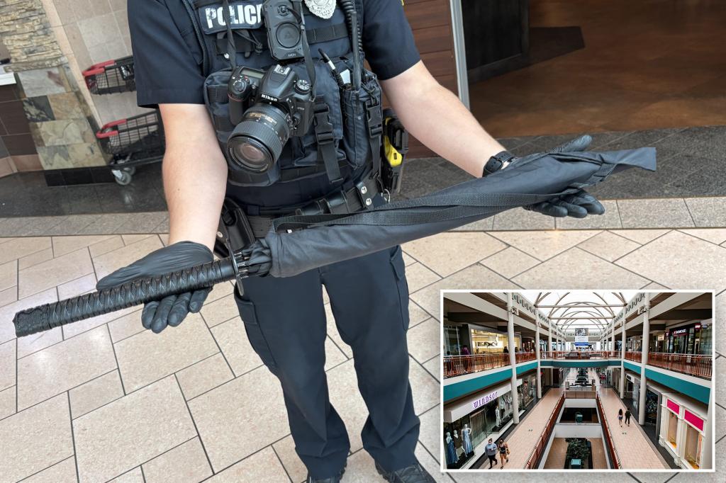 Customers at NY mall confuse umbrella for AR-15 rifle, leading to lockdown