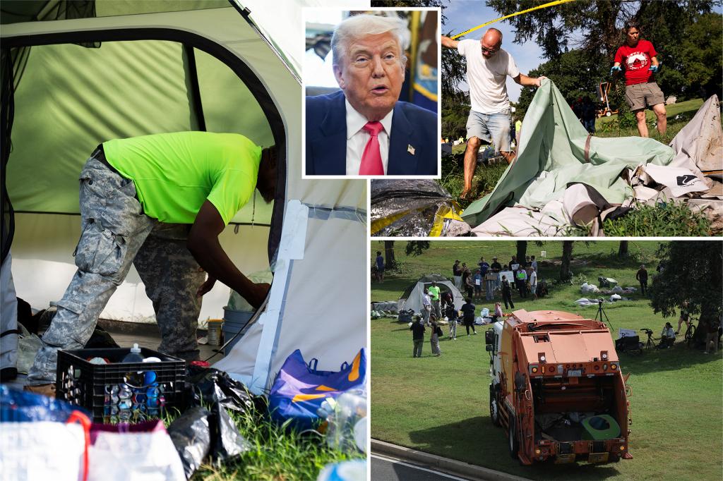 DC starts removing homeless camps as arrests exceed 150 amid Trump enforcement actions