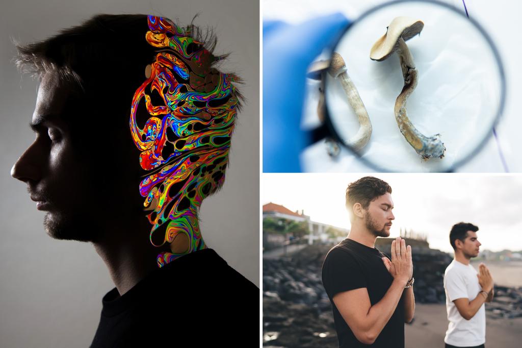 Dave Asprey's four important steps for psychedelic therapy