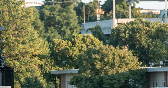 Democrats Condemn the Use of National Guard to Tackle Crime in D.C.