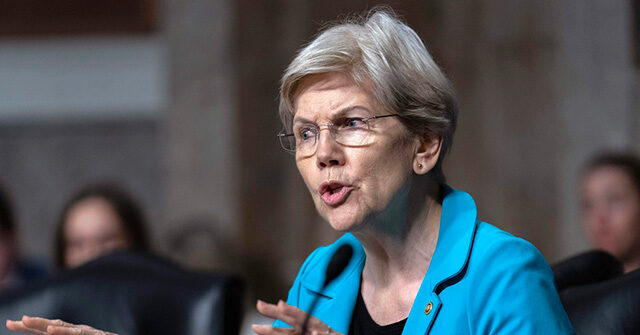 Democrats Find It 'Concerning' That DOGE Employees Are Still in Federal Government Roles