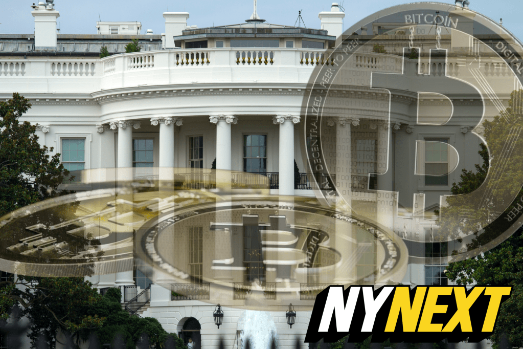 Democrats support cryptocurrency, Trump promotes policies to regain voters