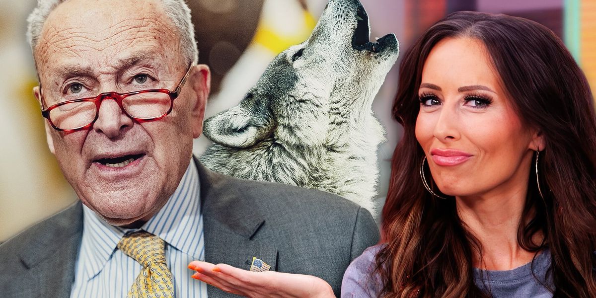 Democrats' warnings about a ‘threat to democracy’ backfire