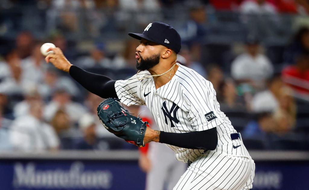 Devin Williams' impressive stint with the Yankees brings one concern