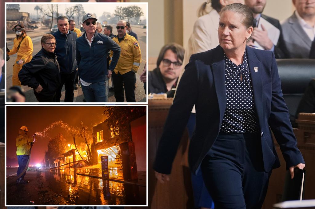 Dismissed LA fire chief, criticized for delayed action during fatal wildfires, is suing the city.