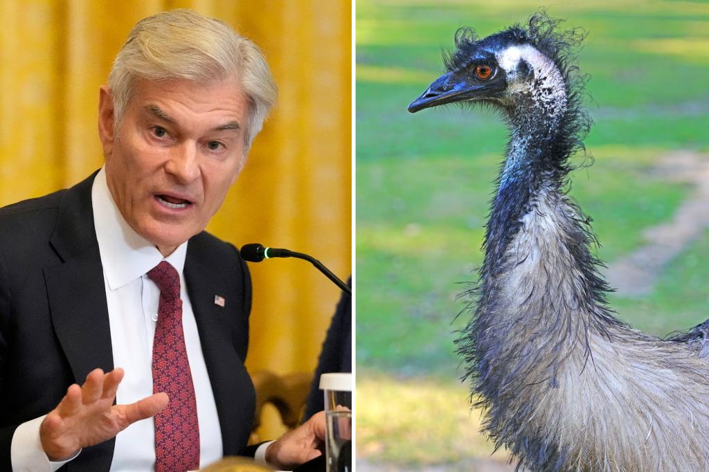 Dr. Oz calls on Canada to reject court decision to protect the ostriches