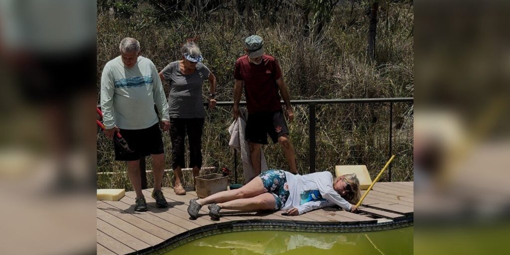 Elderly Residents Rush to Rescue Puppies Left in an Abandoned Property