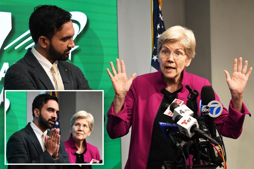 Elizabeth Warren teams up with Zohran Mamdani, describes him as 'the future of the Democratic Party'