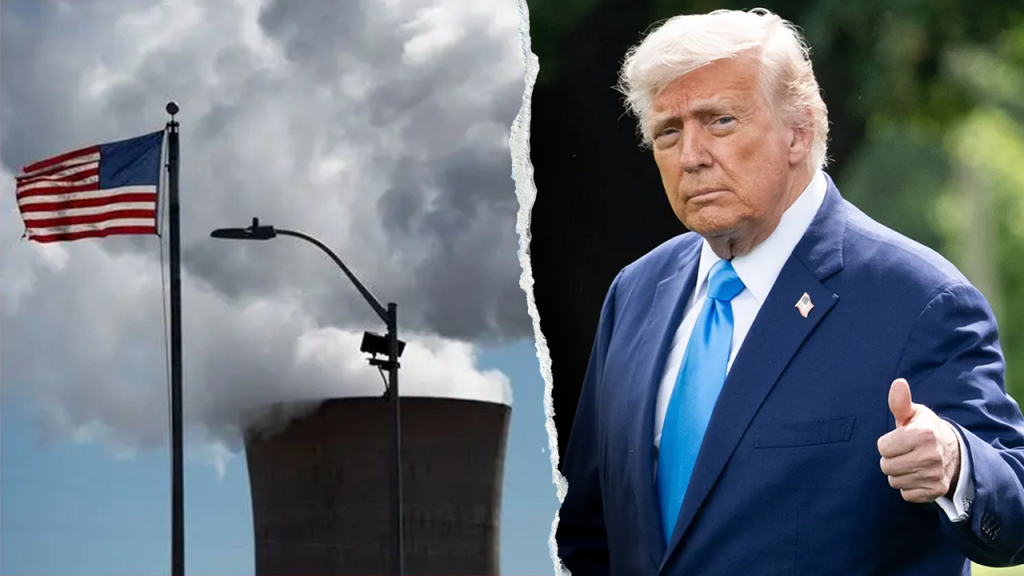 Environmental groups criticized for focusing on beliefs instead of progress