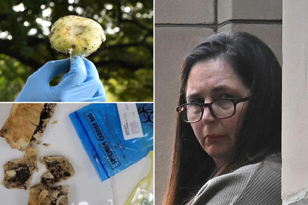 Erin Patterson served her husband Simon poisoned pasta, leading to his death.