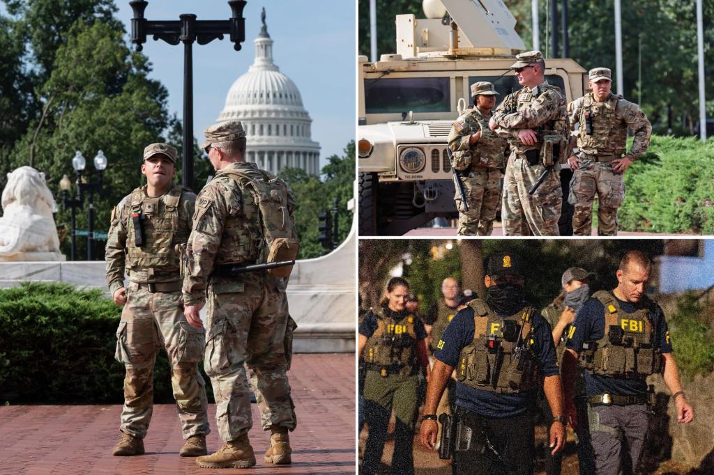 Ex-Capitol Police Chief supports federal control of DC police following rise in youth gang crime