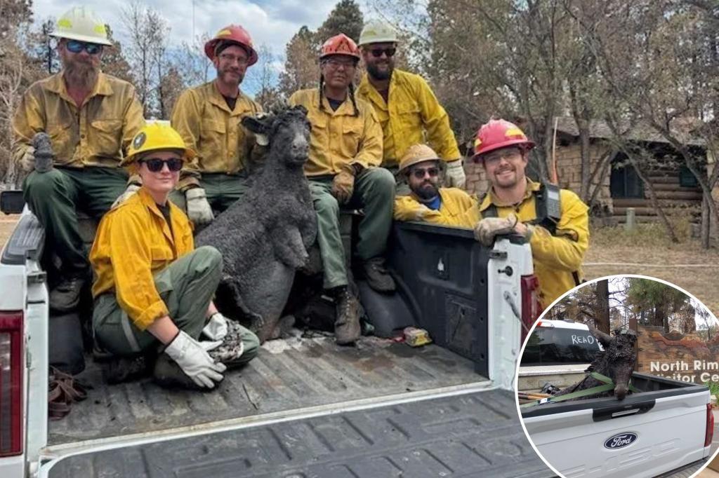 Firefighters rescue Brighty the Burro, the Grand Canyon mascot, following a wildfire