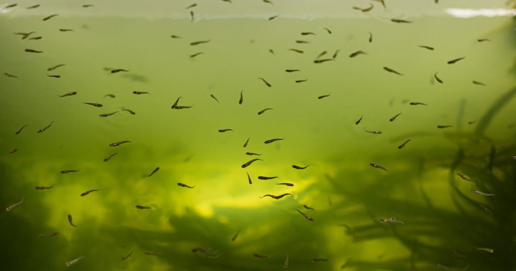 First human case of West Nile virus in Utah for 2025 reported