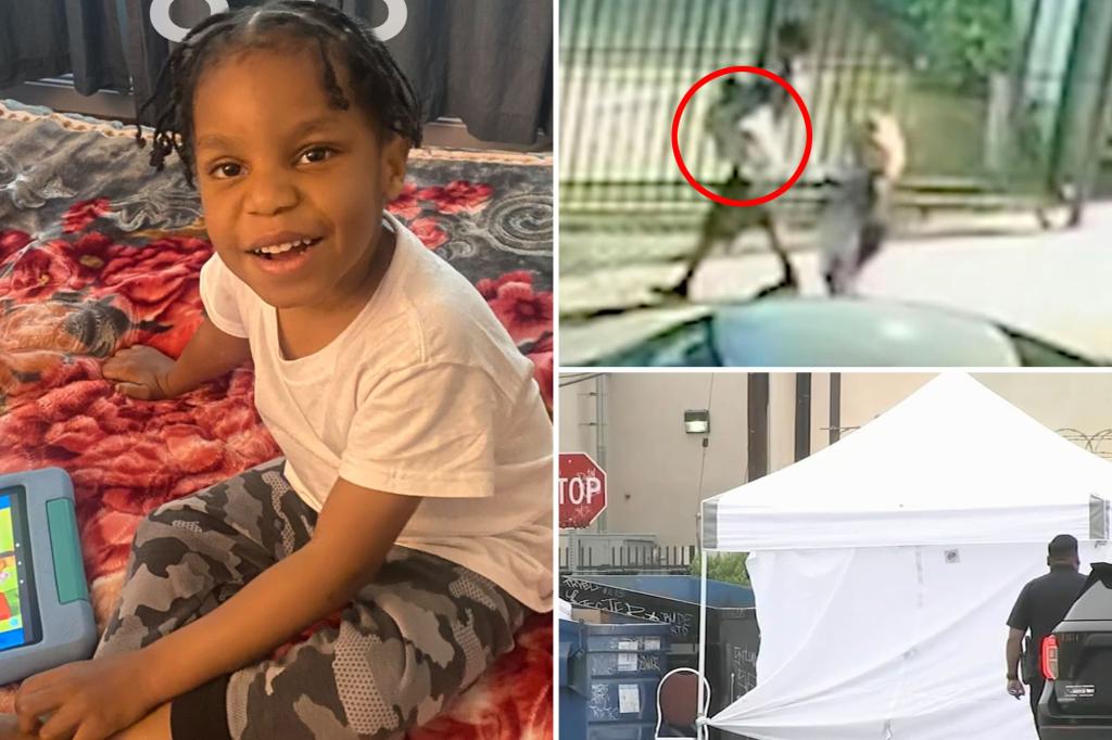Five-year-old Elyjiah Hearn's body discovered in a California dumpster with unsettling new video made public