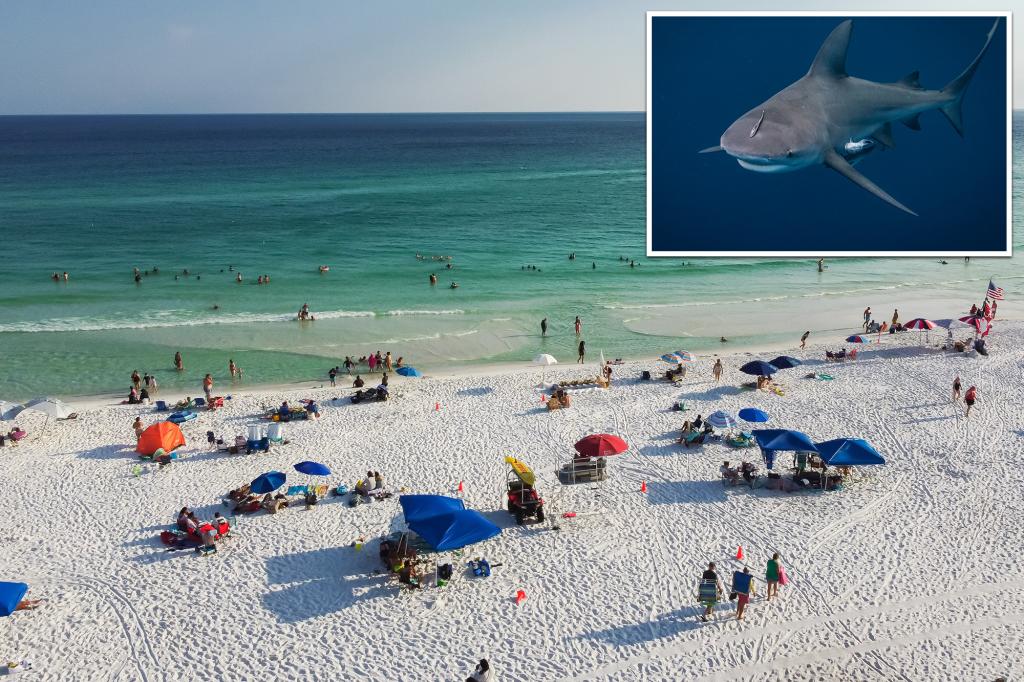 Florida claims 9 out of the top 10 positions for the highest number of shark attacks at U.S. beaches