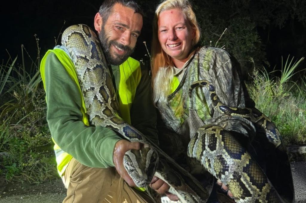 Florida man catches 87 invasive pythons and receives $1,000 through state program.