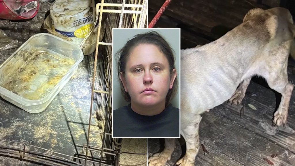 Florida woman abandons teenager and seven dogs for two-week Las Vegas trip, according to authorities.