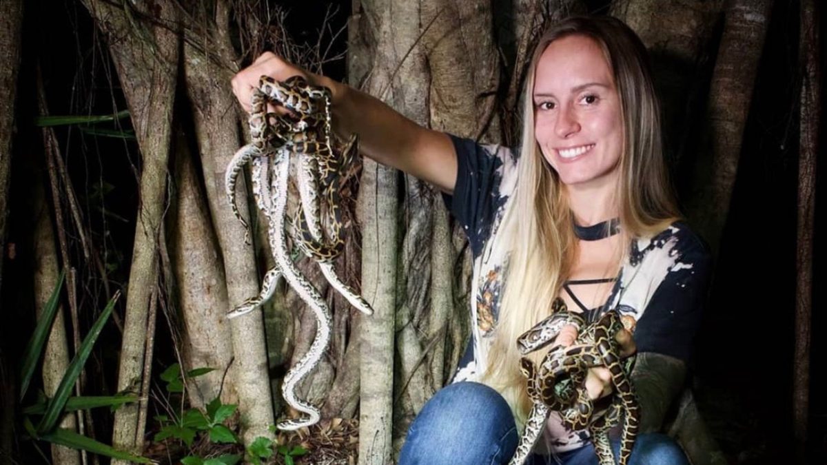 Florida woman captures 60 pythons to triumph in the state's yearly python competition.