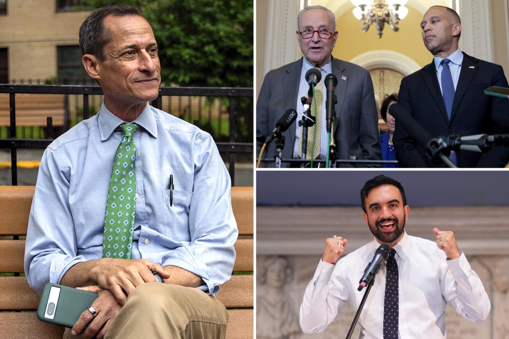 Former Congressman Anthony Weiner makes a straightforward prediction about Zohran Mamdani and leading Democrats in the New York City mayoral election: 'It's unavoidable'