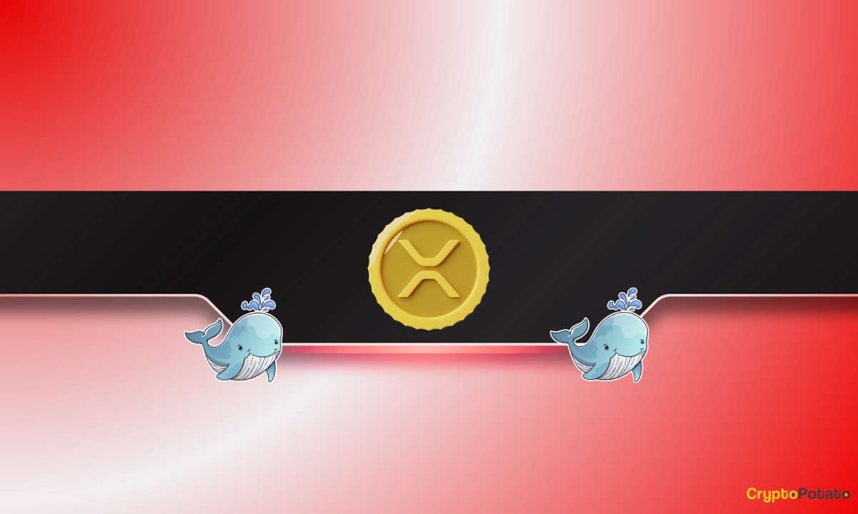 Four Warning Signs for XRP: Is Ripple's Price Set to Drop?