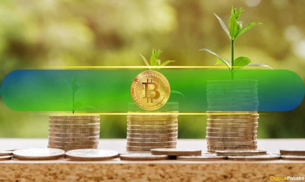 From Optimism to Slowdown: Bitcoin Continues to Experience Profit-Taking as Demand Declines