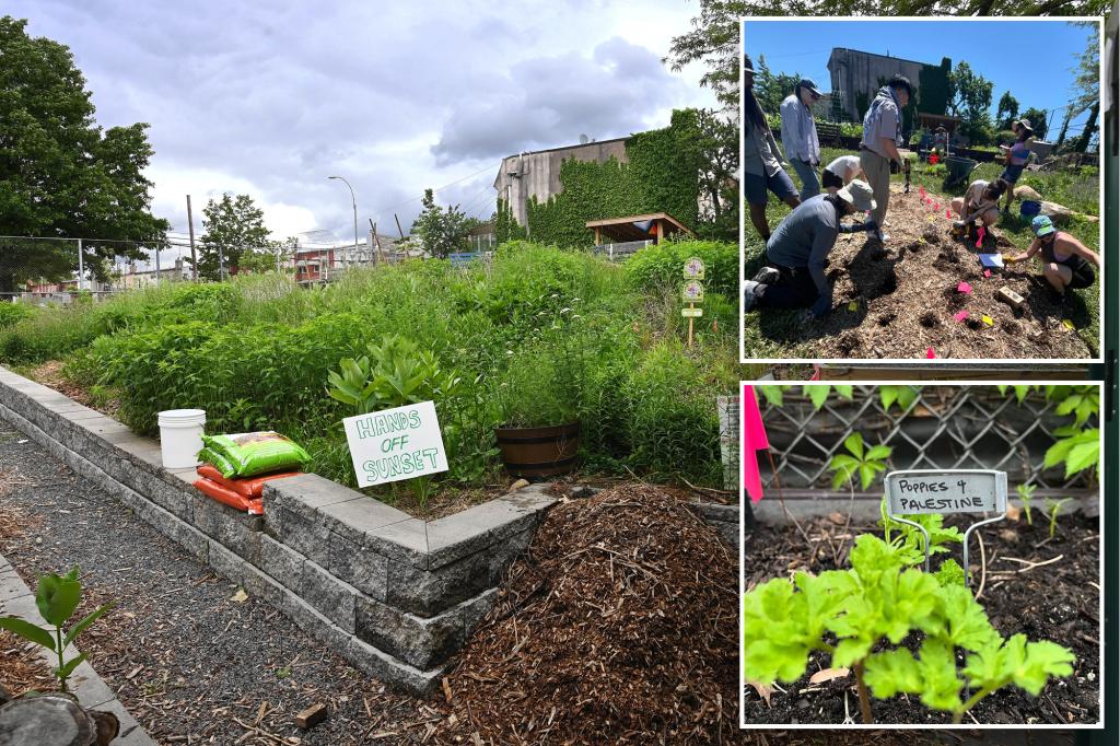 'Garden of Hate' in NYC goes to federal court, criticizes judge and 'offensive' newspaper coverage