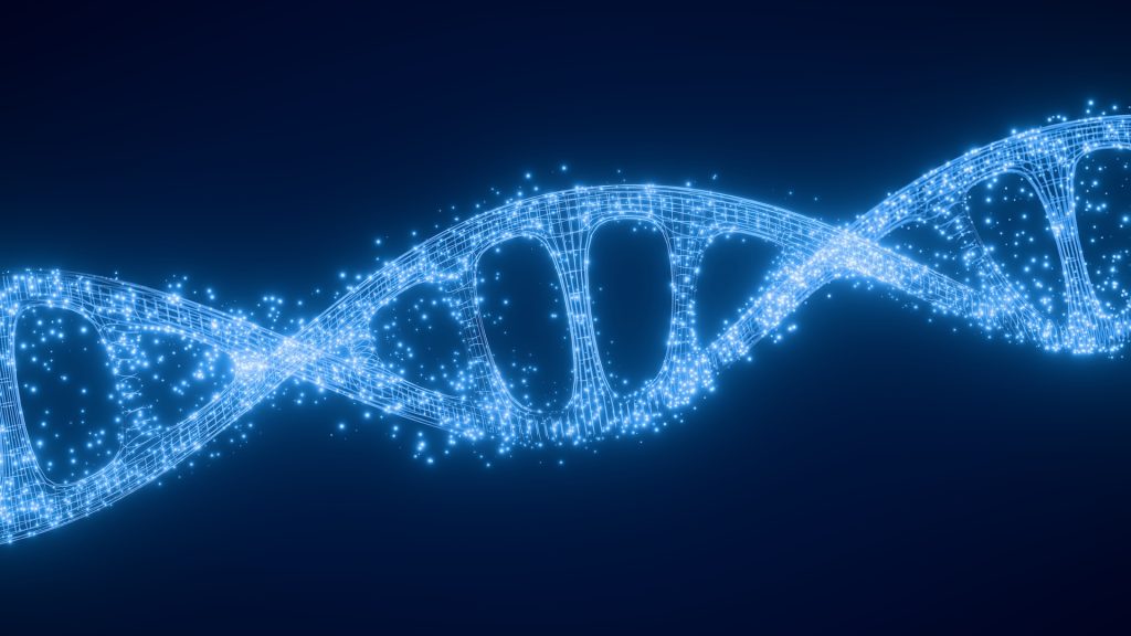 Genes linked to hibernation regulate metabolism and eating, potentially offering hidden advantages for humans.