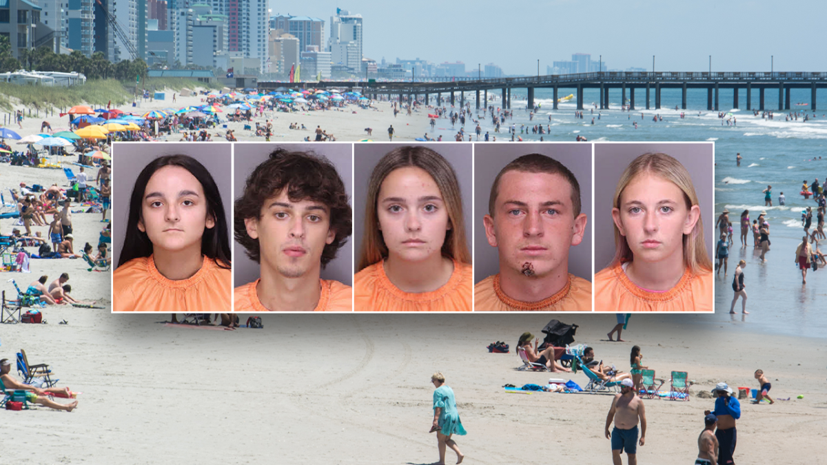 Girlfriend of victim among nine taken into custody in teenager's murder near Myrtle Beach