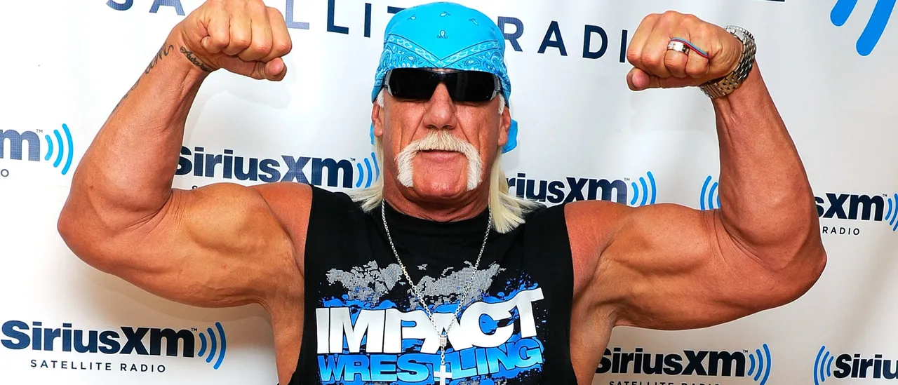 Governor Ron DeSantis Proclaims 'Hulk Hogan' Day and Directs Flags to Be Lowered