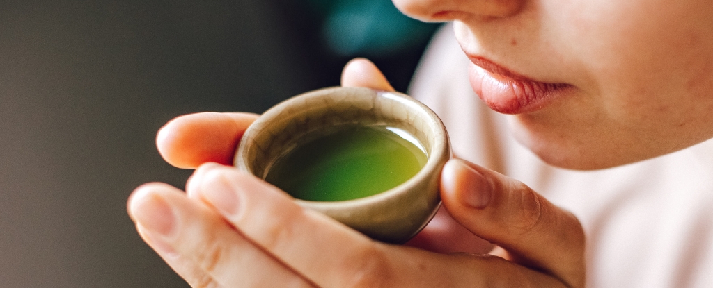 Green Tea and a Vitamin Supplement May Help Safeguard Against Alzheimer's