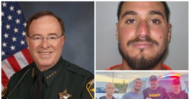 Group of Florida Sheriff's Deputies Deployed to Detain Undocumented Immigrant for Reported Attack on ICE Officers