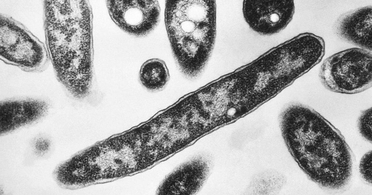 Harlem Legionnaires' outbreak officially ends in NYC following the announcement of the seventh death