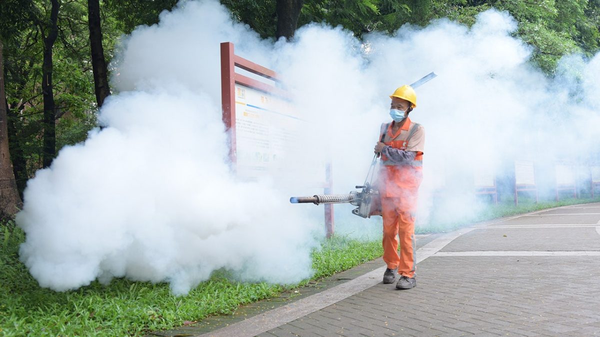 Health officials alert travelers to China about the quick spread of chikungunya virus.