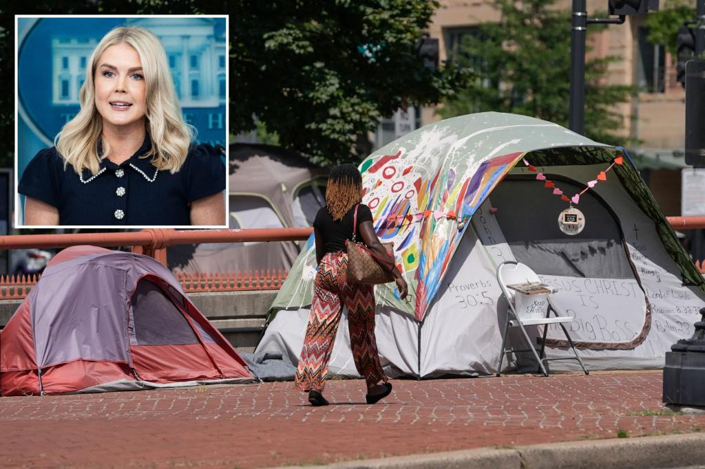 Homeless individuals in DC will face shelter or jail as part of a crackdown on crime