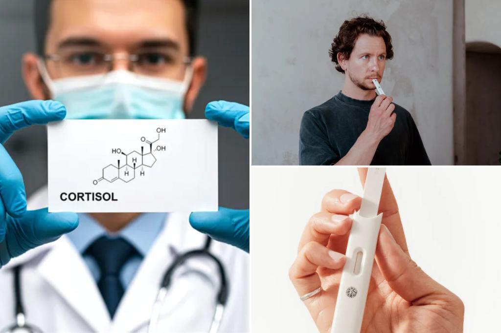 Hormone 'dictator' greatly affects sleep and metabolism