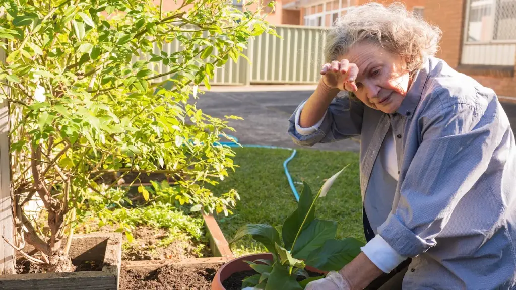 Hot weather can be a serious health threat to seniors, specialist advises