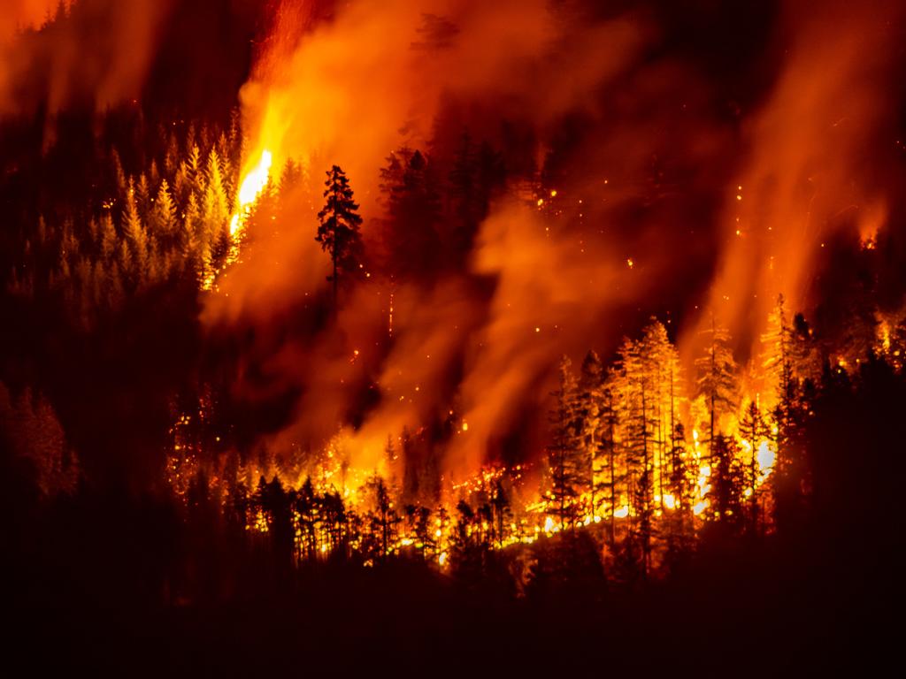 How Trump can assist us in avoiding a ruined summer