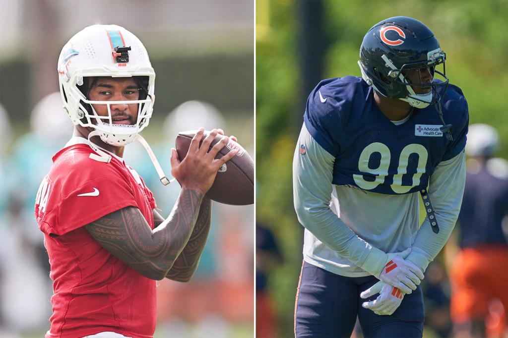 How to view Dolphins-Bears at no cost during NFL Preseason Week 1
