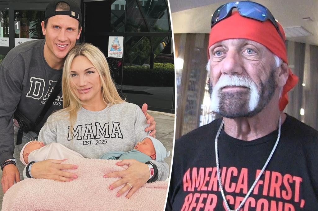 Hulk Hogan was 'not interested' in meeting his daughter Brooke's twins before he passed away