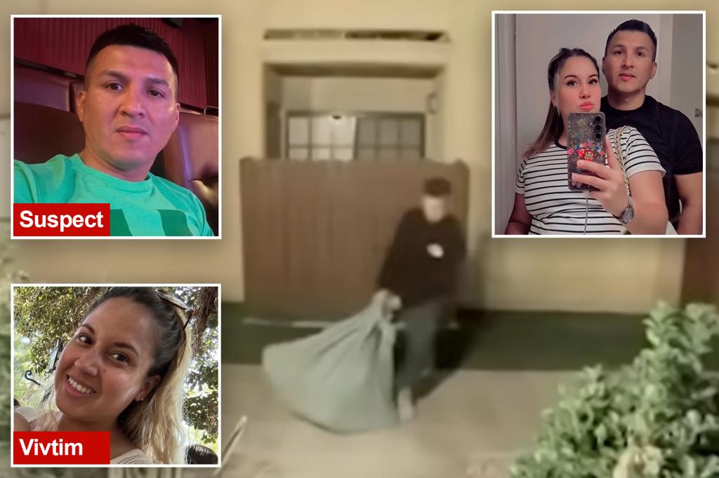 Husband said his missing wife was taken by ICE, but security video points to a darker truth.