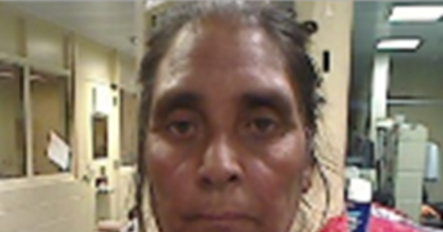 ICE Detains Undocumented Immigrant from Romanian Theft Ring Aimed at Americans