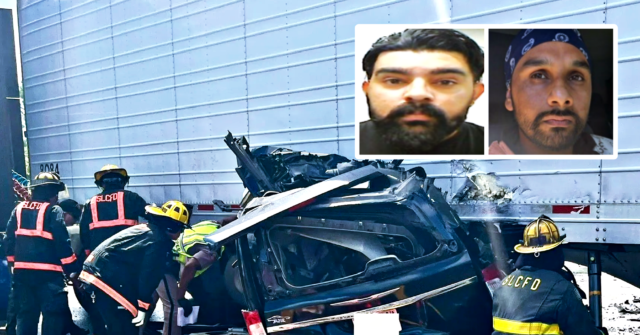 ICE Detains Unlawful Immigrant Brother of Indian Truck Driver Whose Illegal U-Turn Resulted in Three Deaths in Florida