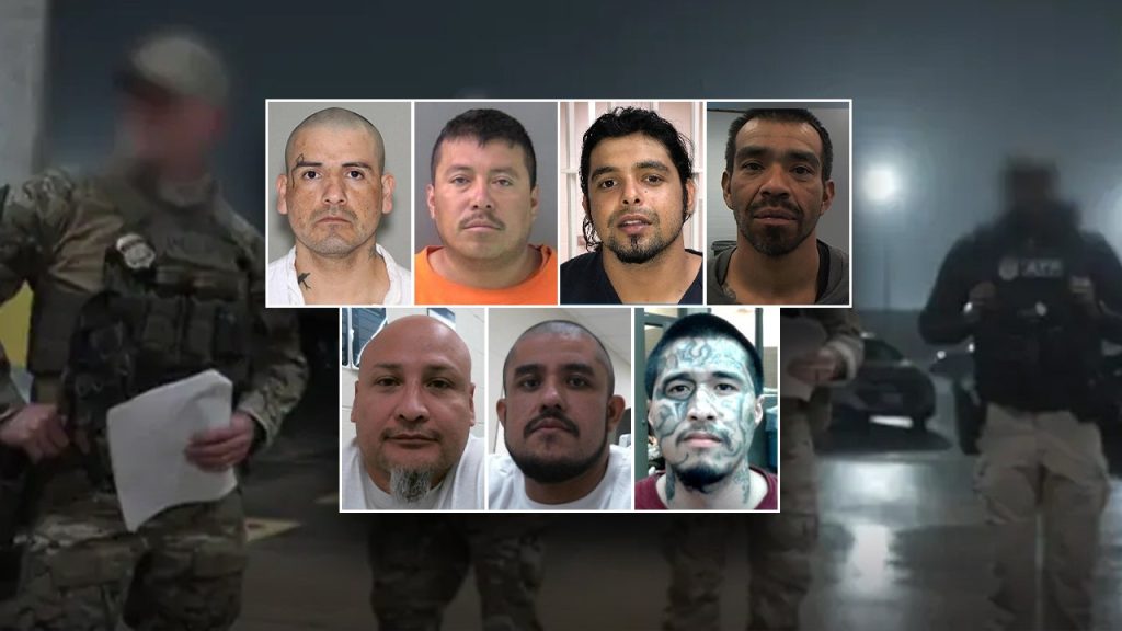 ICE Houston detains 356 undocumented immigrants affiliated with 40 various gangs.
